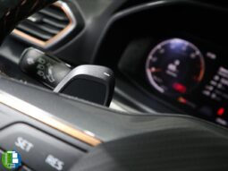 Cupra – Leon lleno